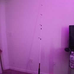 6 Foot Fishing Pole Black N White Ugly Stick 