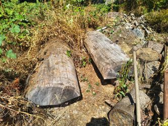 Log benches cut last year