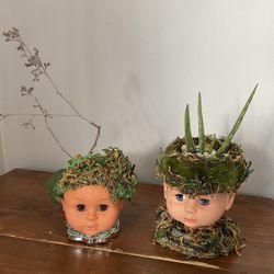 One Of A Kind Vintage Doll Head Pot With Live Plants Inside Each Is $45
