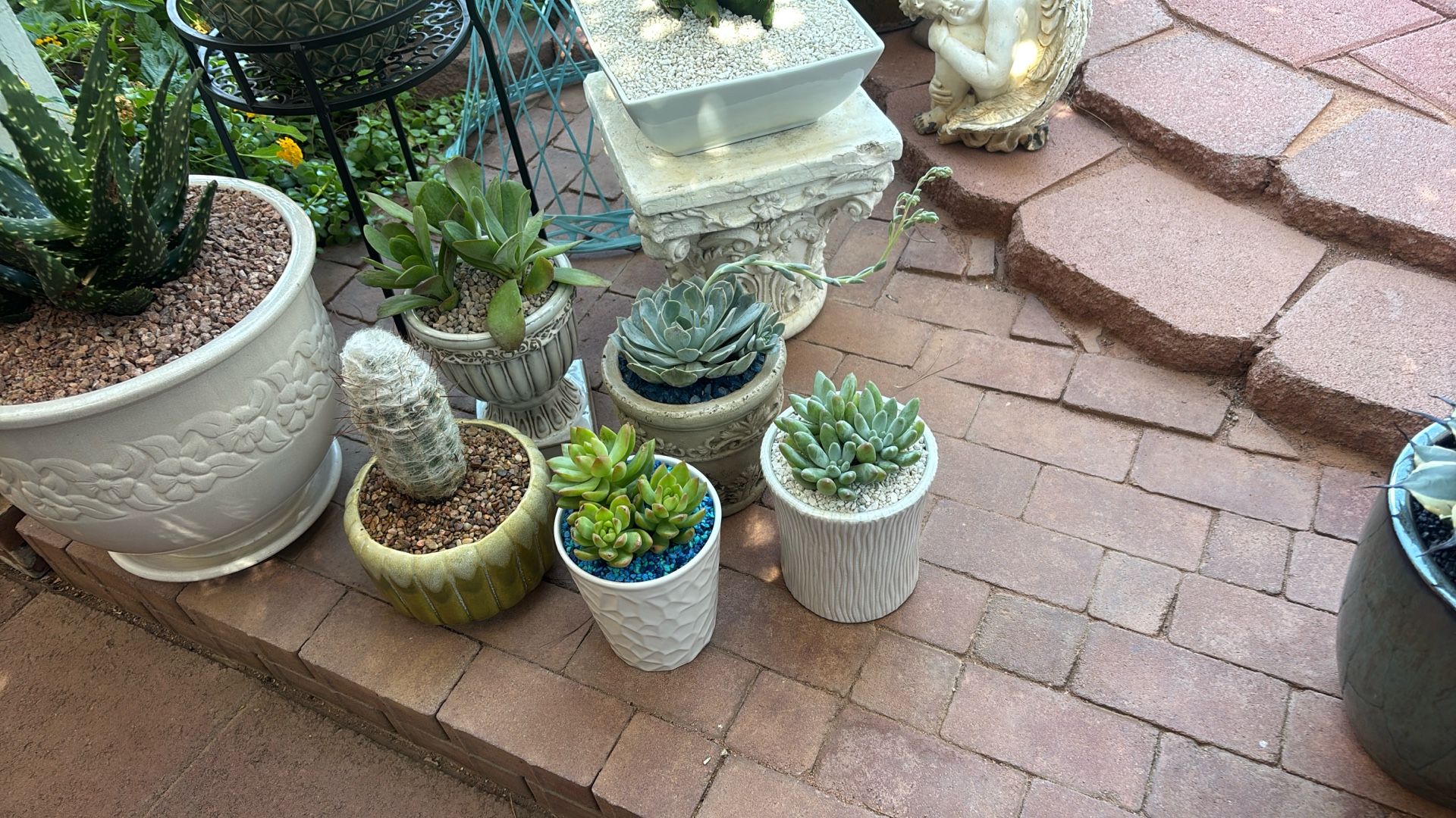 Succulents In Glazed Pots