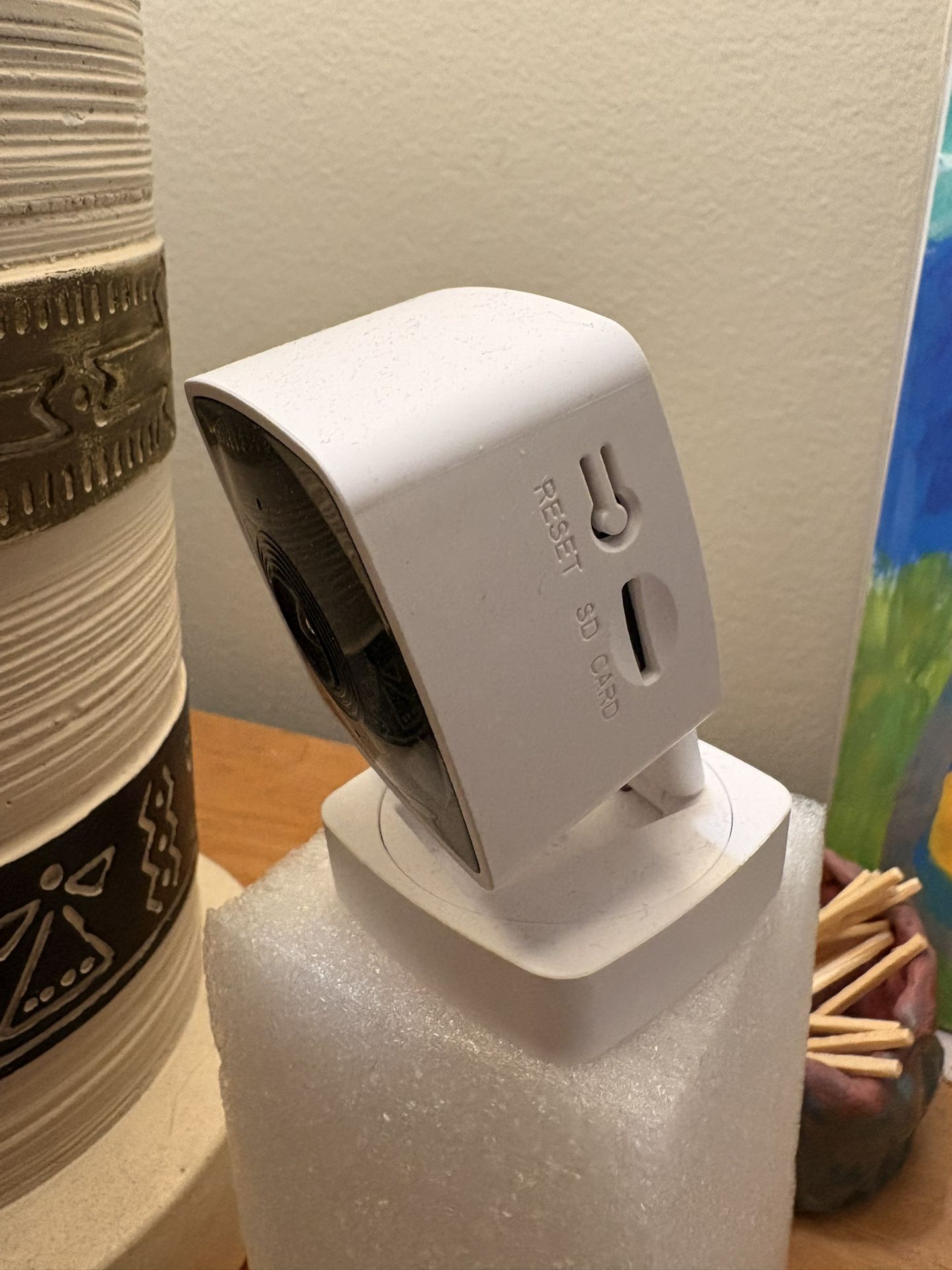 Security Pet Indoor Cam