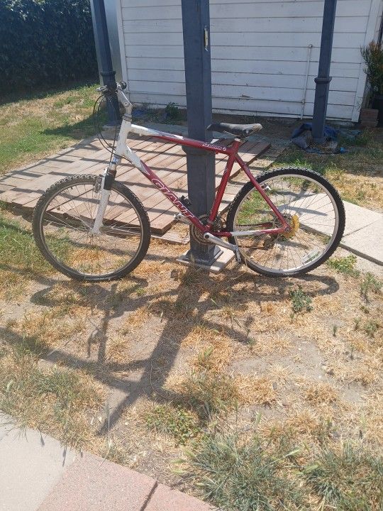Giant Speed Bike