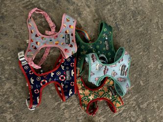 Dog Harnesses Matching Leash