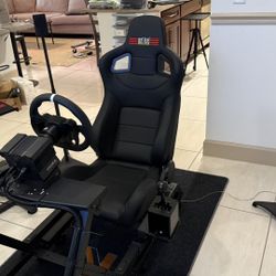 Racing SIM - GT Track Complete with many extras