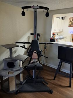 Red and black bowflex
