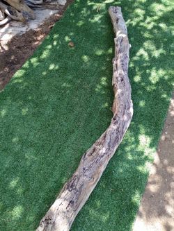 Large 4 ft 10in Driftwood branch