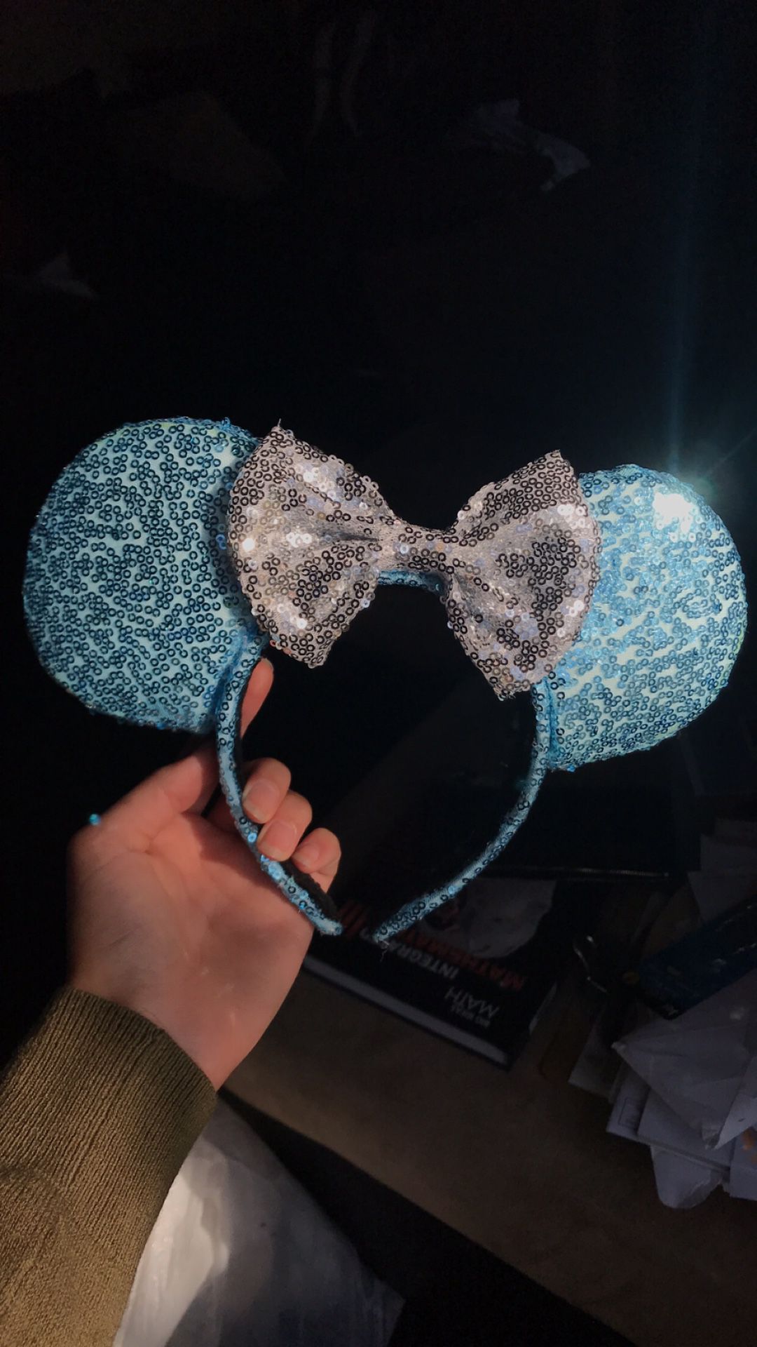 Cinderella Disney Ears