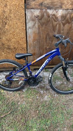 Trail Bike
