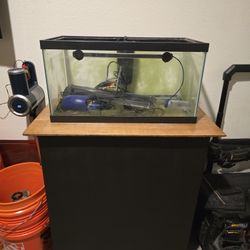 15 gallon Aquarium