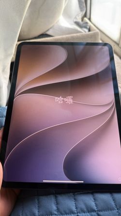 iPad Pro 11inch 256gb