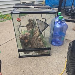 Reptile Terrarium 