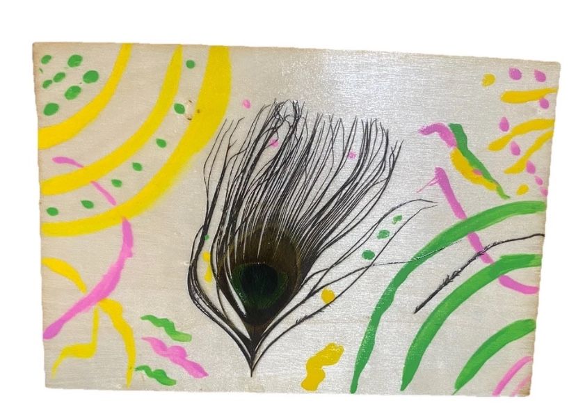 Authentic Peacock Feather Wall Art Decor Wall Hanging