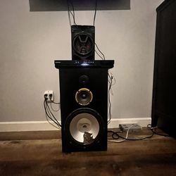 Single 12 Home Audio System 