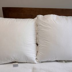 2 Crate and Barrel Down/Feather Pillows