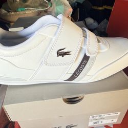 Lacoste Shoes