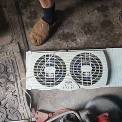 Holmes Duel Window Fan