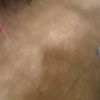 Ant