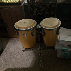 Bongos 