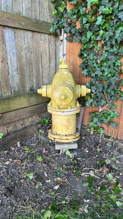 Fire Hydrant