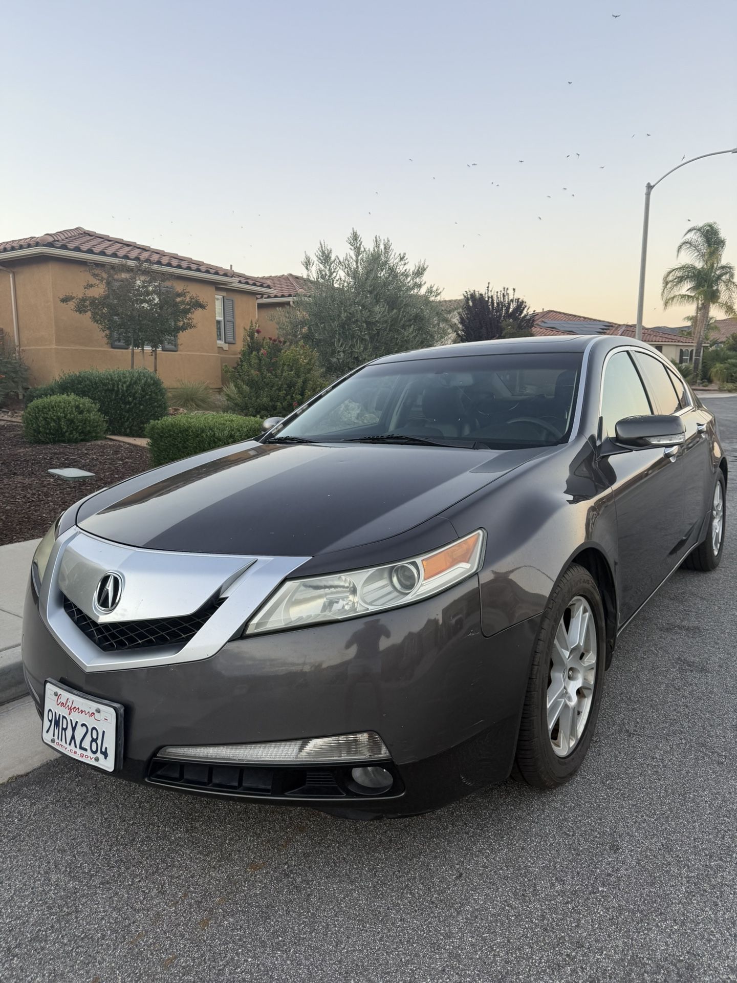2009 Acura TL