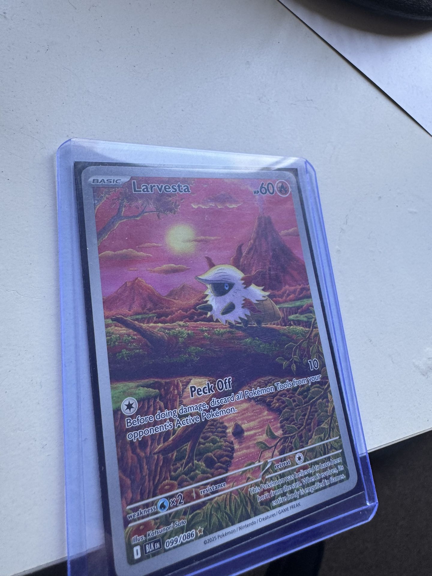 Pokemon Larvesta Illustration Rare