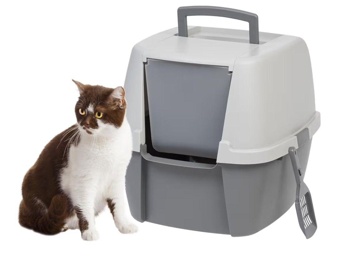 Large Cat Litter Box