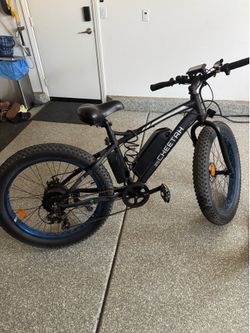 ECOTRIC