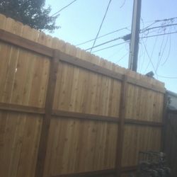 Fence