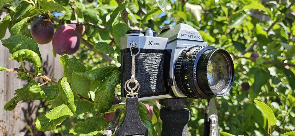 ASAHI PENTAX. K 1000. $ 130