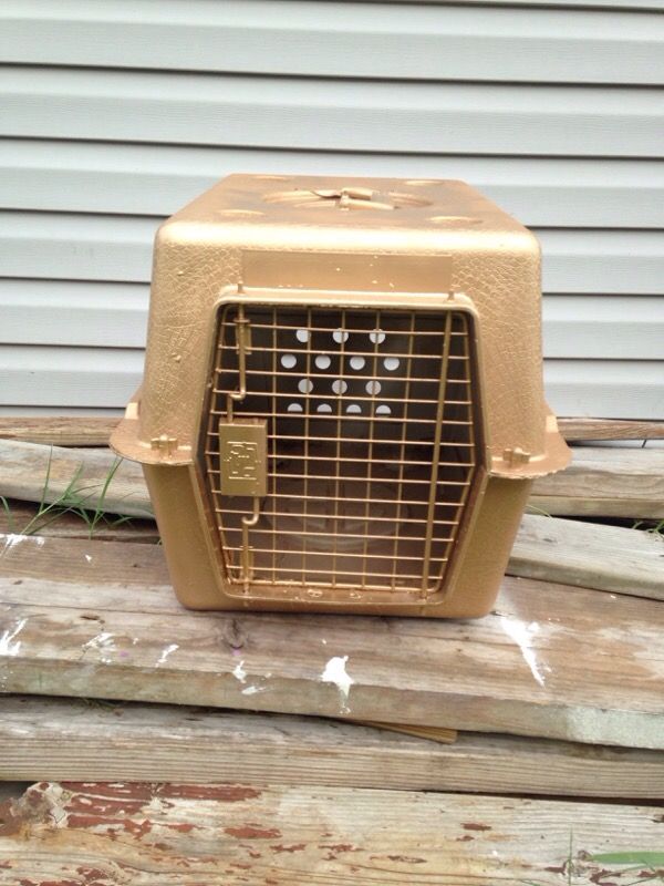 Gold Kennel~~~~>(Medium) <~~~~