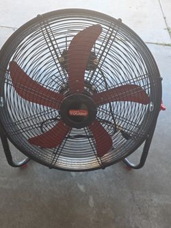Fan