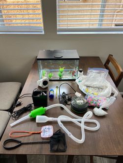 Complete 3-Gallon Aquarium Starter Bundle – Everything Included!