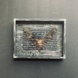 Taxidermy Custom Framed Vampire Bat Goth Oddities Halloween Samhain * Read