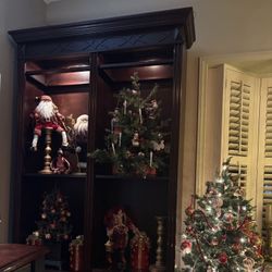 10’ X 4’ Book Shelve with lights 