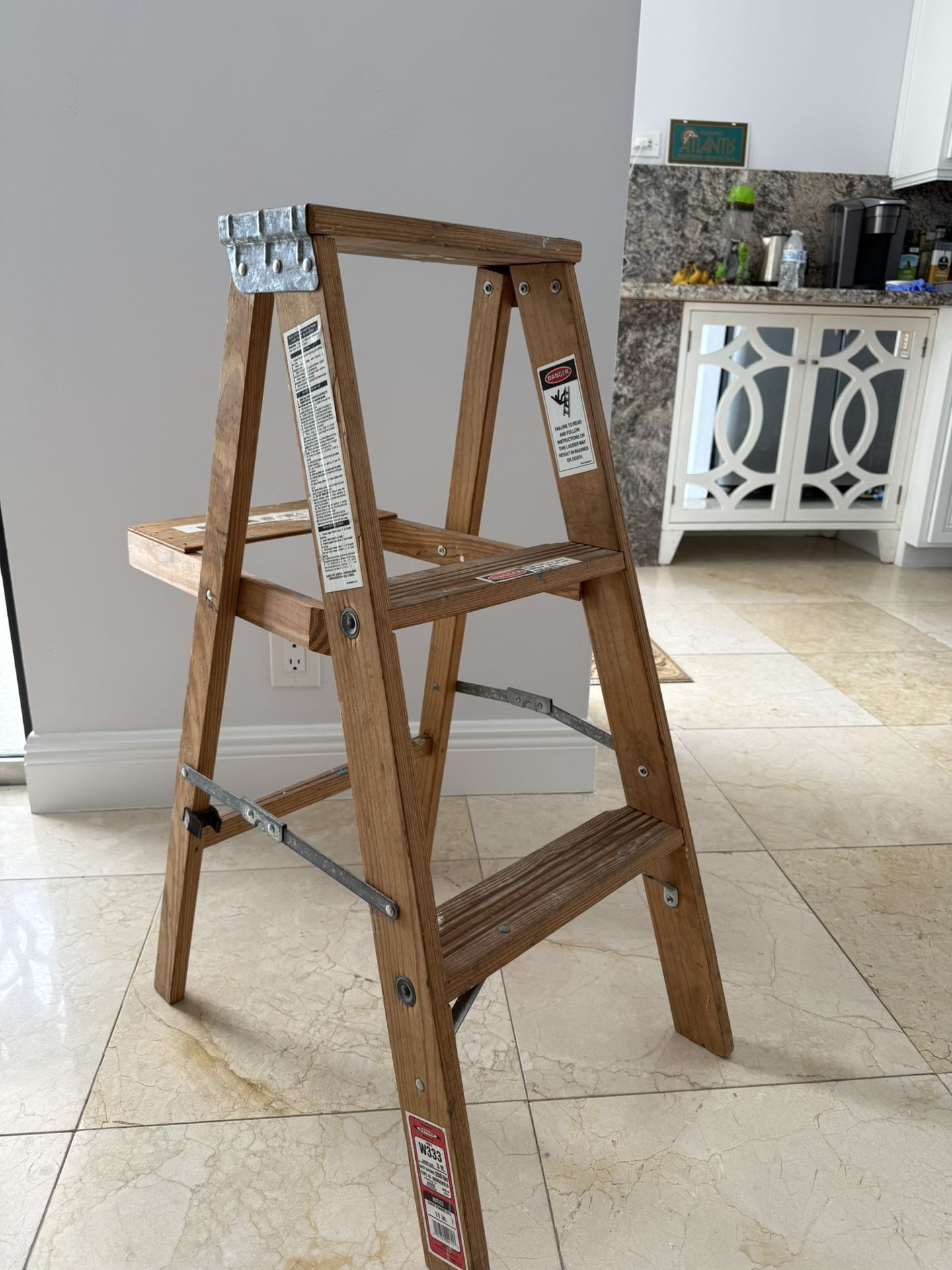 Painter Ladder