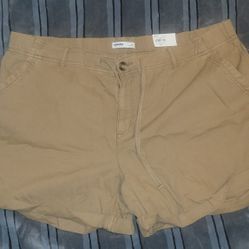 New! Sonoma 2X Womens Shorts