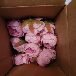 14 Mini Peonies Craft Flowers
