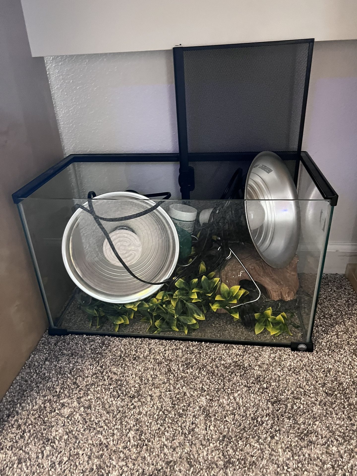 Reptile Supplies