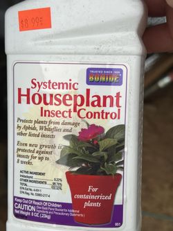 Insects Control