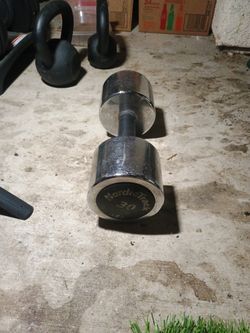 NordicTrack 30 Pound Weight
