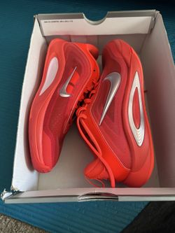 Shoe