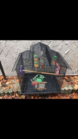 3 roof bird cage with lots of extras