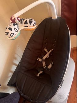 MamaRoo and Basanet