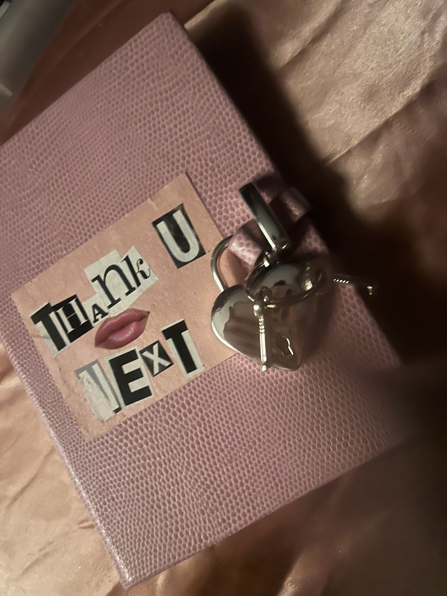 Thank You Next Diary Mean Girls Inspired