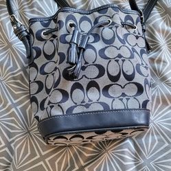 Authentic Blue Bucket Purse