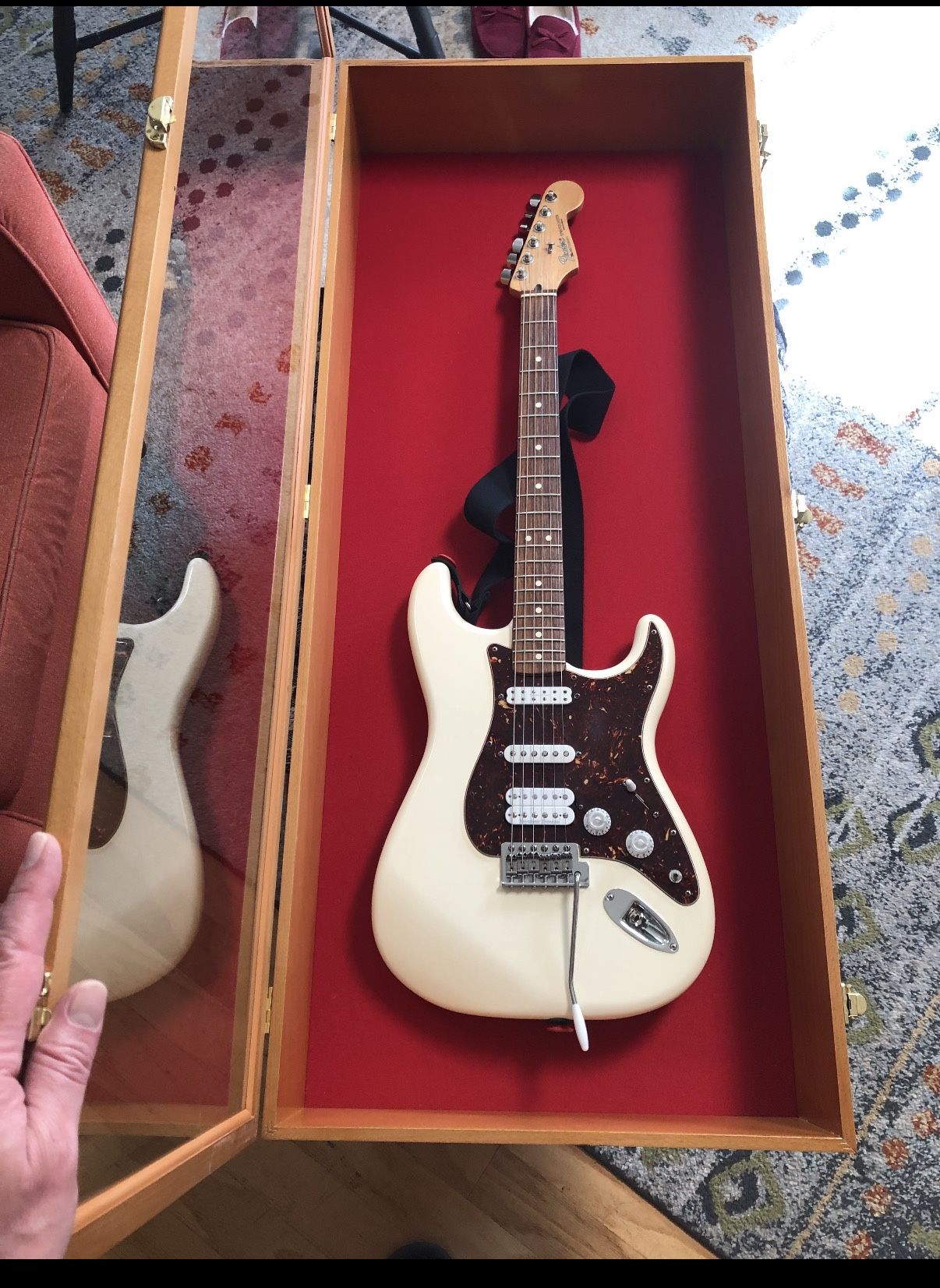 Guitar Display Case