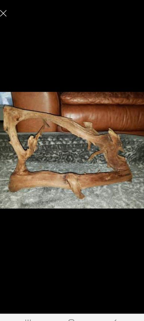 Reptile Driftwood 