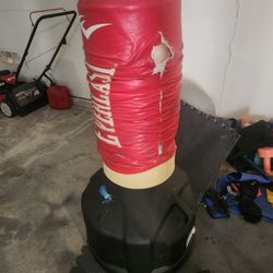 Punching Bag