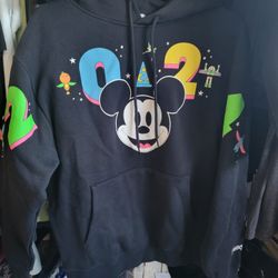 Disneys  2024 Hoodie
