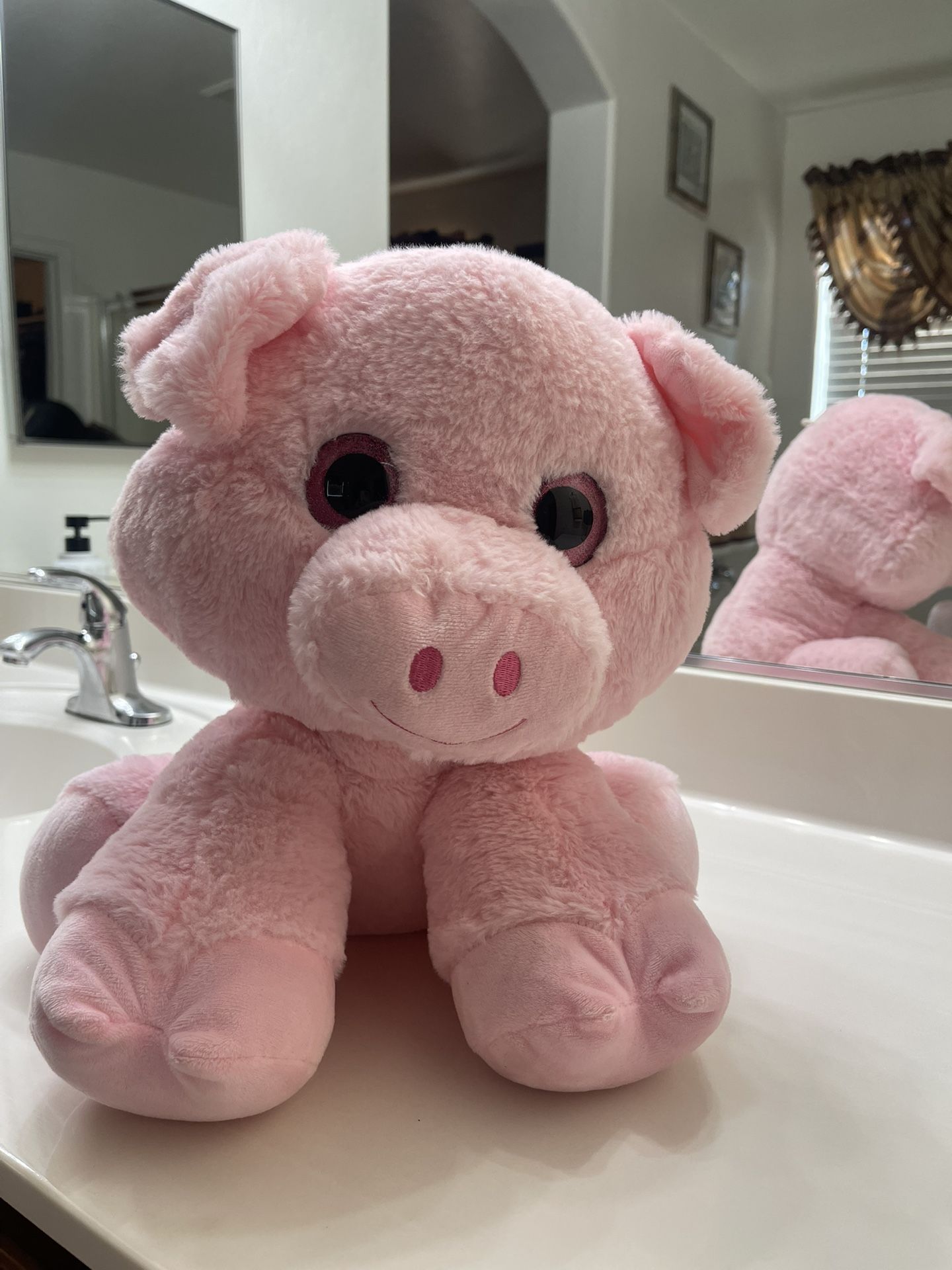 Teddy Bear Pig